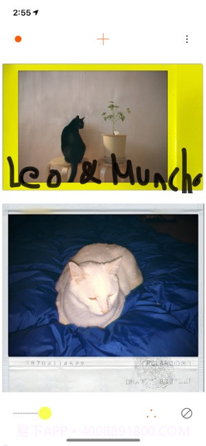 PLOT截图4 PLOT截图4