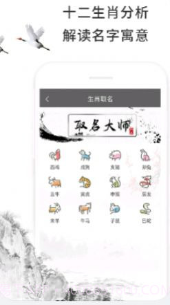 取名大全官方版截图3