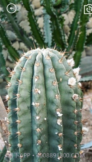 妙妙生活贴心宝截图3 妙妙生活贴心宝截图3