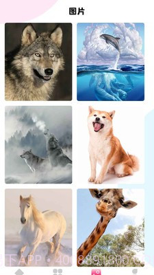 最强动物园截图4 最强动物园截图4