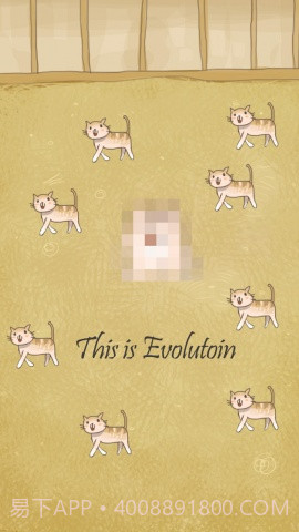小猫进化大派对截图4