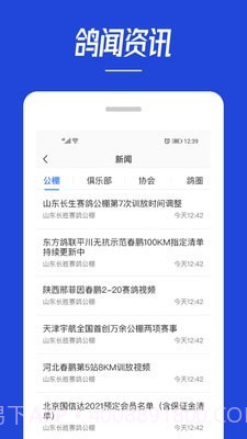 青鸽网截图1 青鸽网截图1