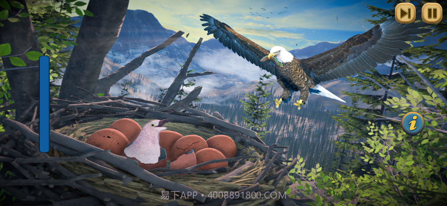 鹰鸟荒野生活模拟截图1