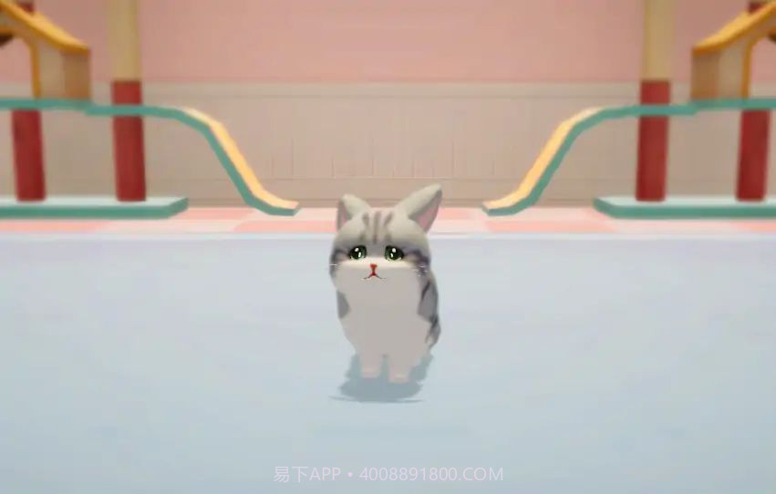 养了个猫免广告截图2 养了个猫免广告截图2