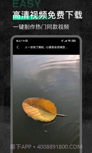 今日素材截图1 今日素材截图1