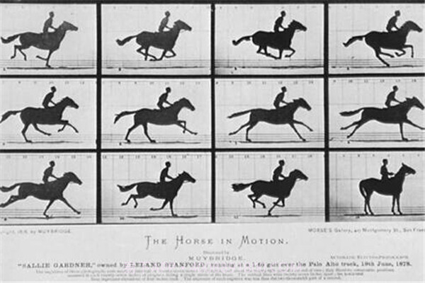 犯罪冲突疯狂的圣安地列斯截图4 犯罪冲突疯狂的圣安地列斯截图4