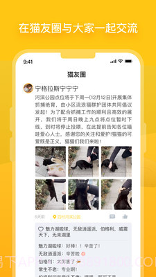 哈啰街猫截图4 哈啰街猫截图4