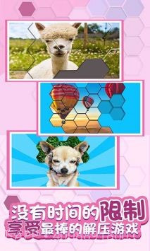 拼图来几把截图1