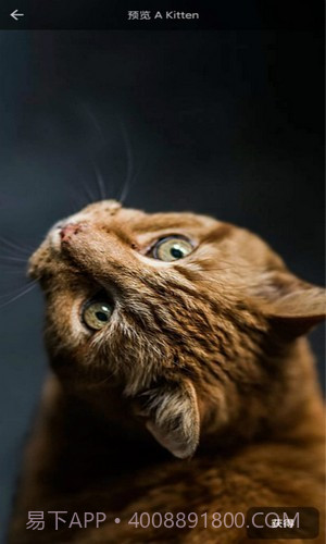 4D动态壁纸截图1 4D动态壁纸截图1