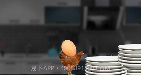 母鸡护蛋模拟器截图2 母鸡护蛋模拟器截图2