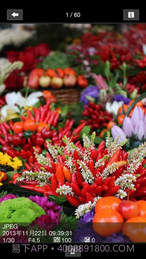 Camera Connect截图2 Camera Connect截图2