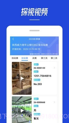 青鸽网截图5 青鸽网截图5