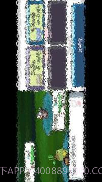 Fire-NDS (NDS Emulator)截图2 Fire-NDS (NDS Emulator)截图2