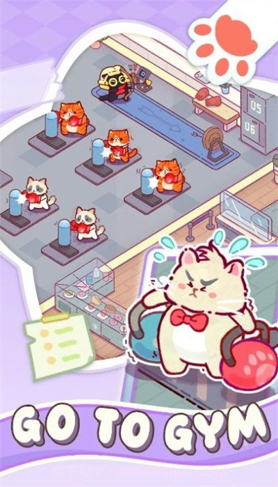 猫咪健身房截图2 猫咪健身房截图2