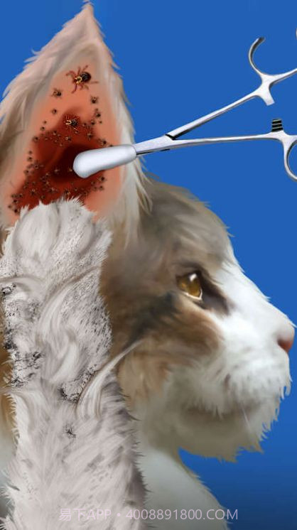 Cat Makeover截图1 Cat Makeover截图1