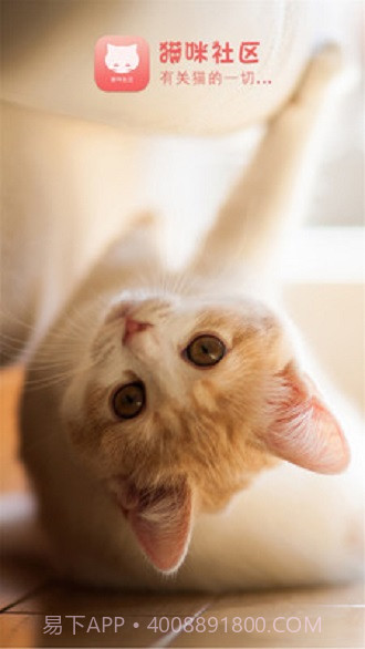 猫咪社区截图3 猫咪社区截图3