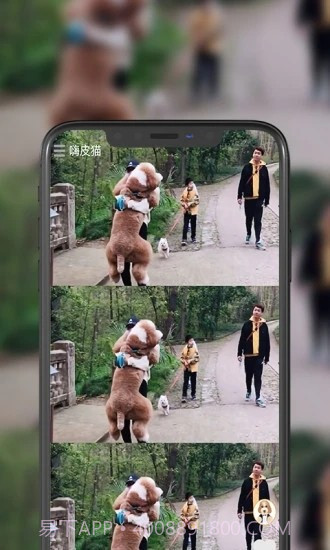 嗨皮猫短视频截图1 嗨皮猫短视频截图1