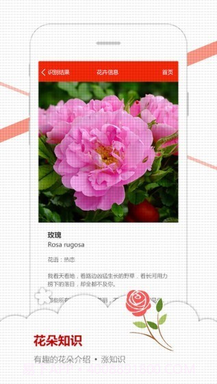 微软识花截图4 微软识花截图4