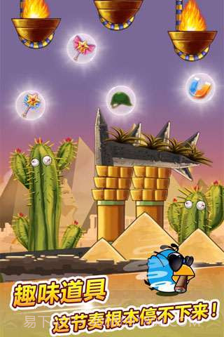 呆鸟也疯狂截图4