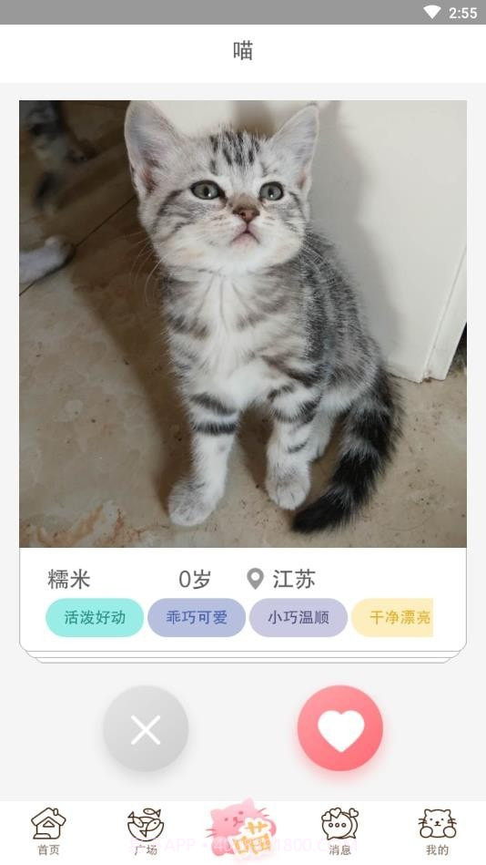 猫咪汇截图2 猫咪汇截图2
