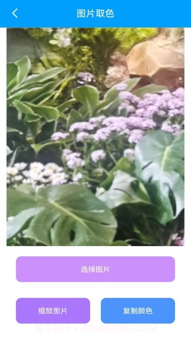 栋剧工具箱截图2