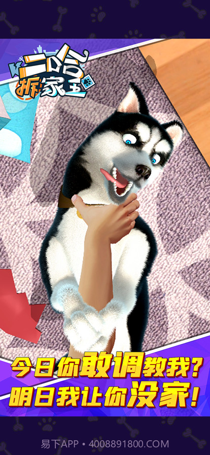 二哈拆家王截图5 二哈拆家王截图5