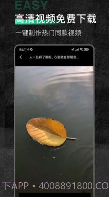 口袋今日素材截图2 口袋今日素材截图2