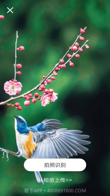 识物通截图3 识物通截图3