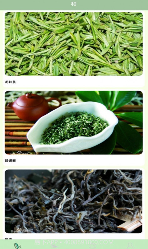 我的茶园截图2 我的茶园截图2