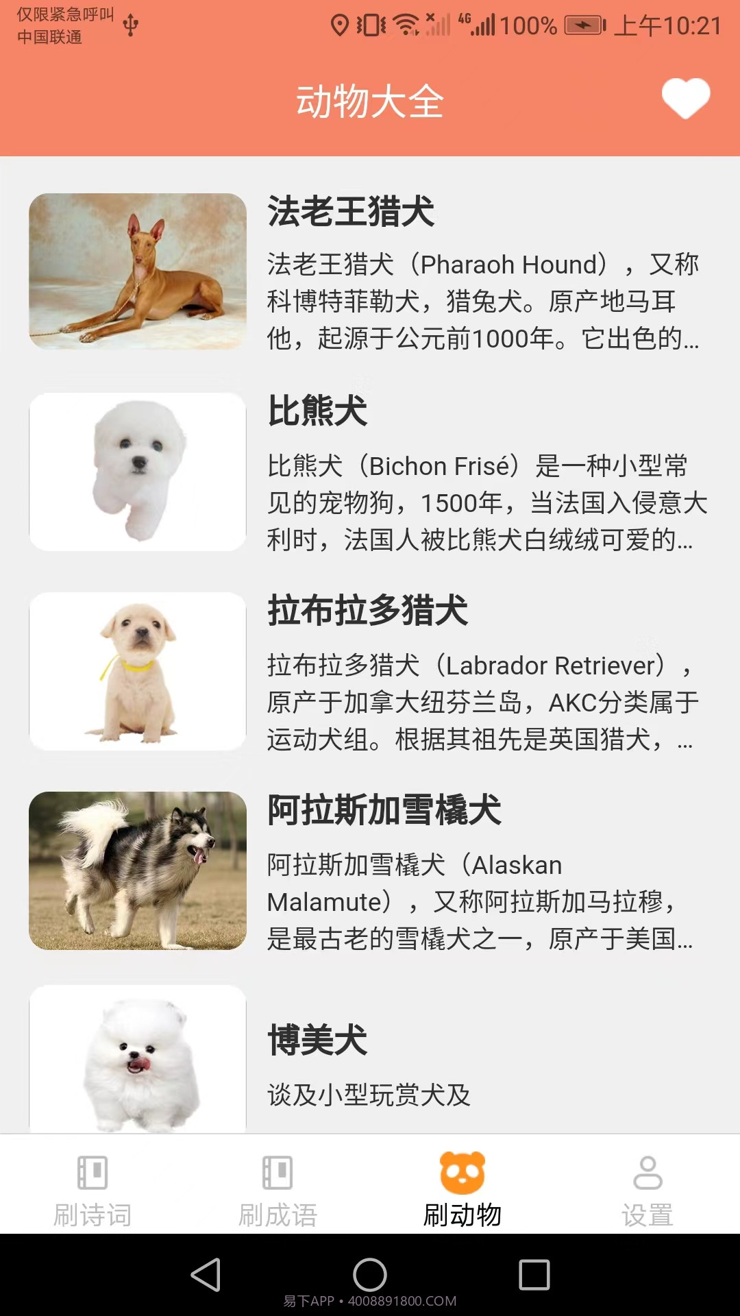 乐享刷刷截图2 乐享刷刷截图2