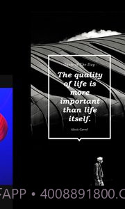 vue(VUE Vlog)截图3