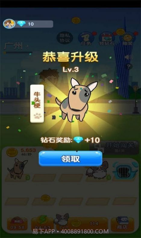 狗狗养成记截图3 狗狗养成记截图3
