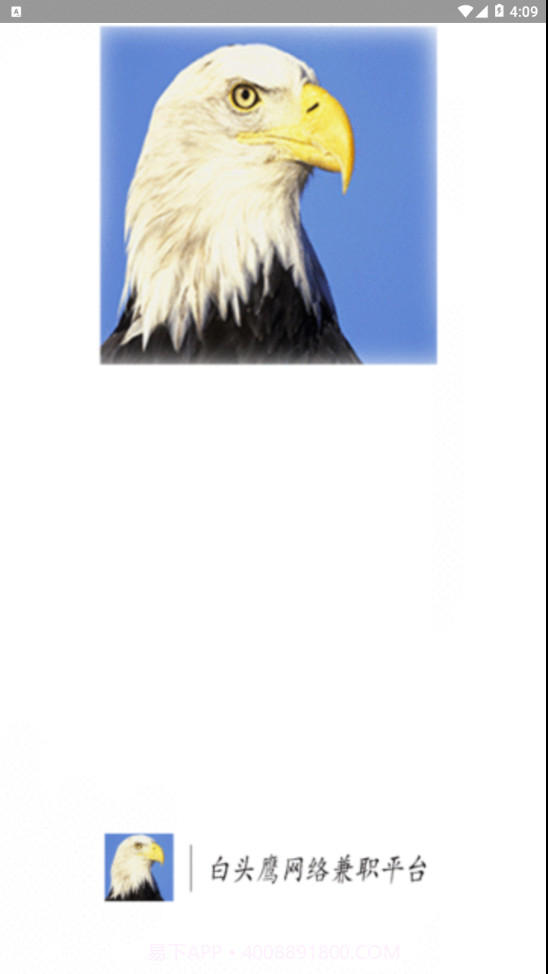 白头鹰网络兼职截图1 白头鹰网络兼职截图1