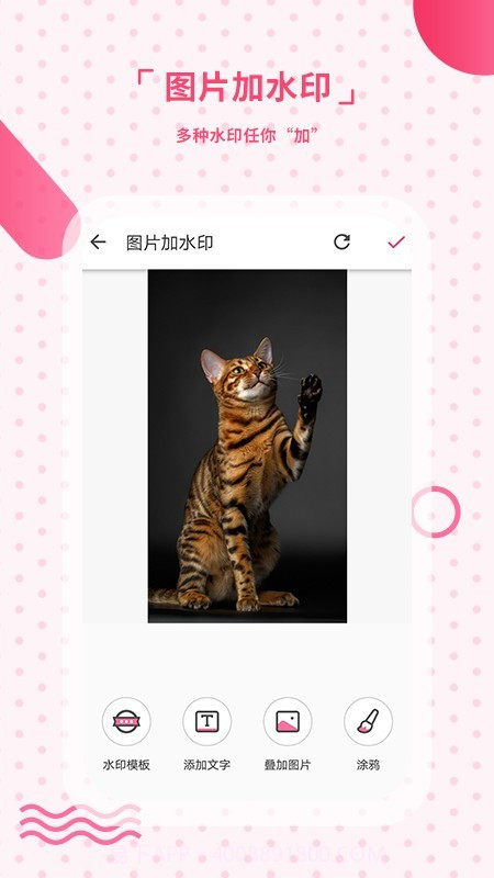 去水印相机截图4 去水印相机截图4