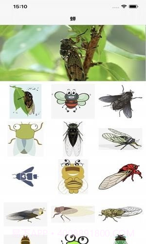 夏蝉截图1 夏蝉截图1