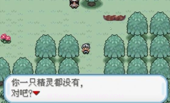 口袋妖怪火箭队截图1 口袋妖怪火箭队截图1