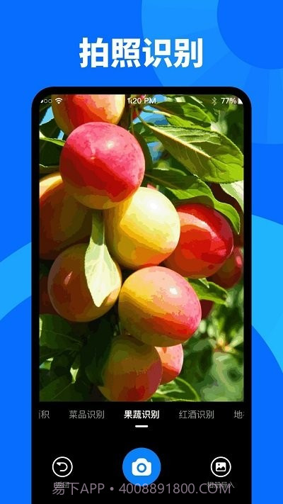 扫描识图大师截图4