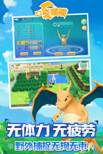 口袋喵喵最新版截图5 口袋喵喵最新版截图5