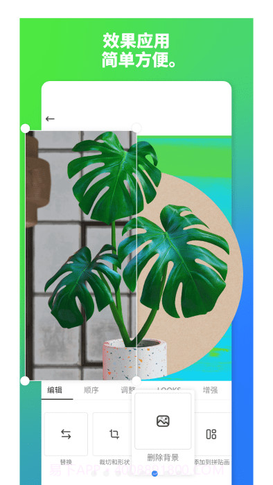 adobe express设计中文版截图4 adobe express设计中文版截图4