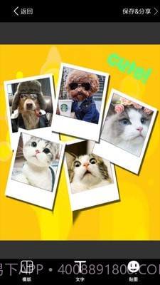 照片拼图截图4 照片拼图截图4