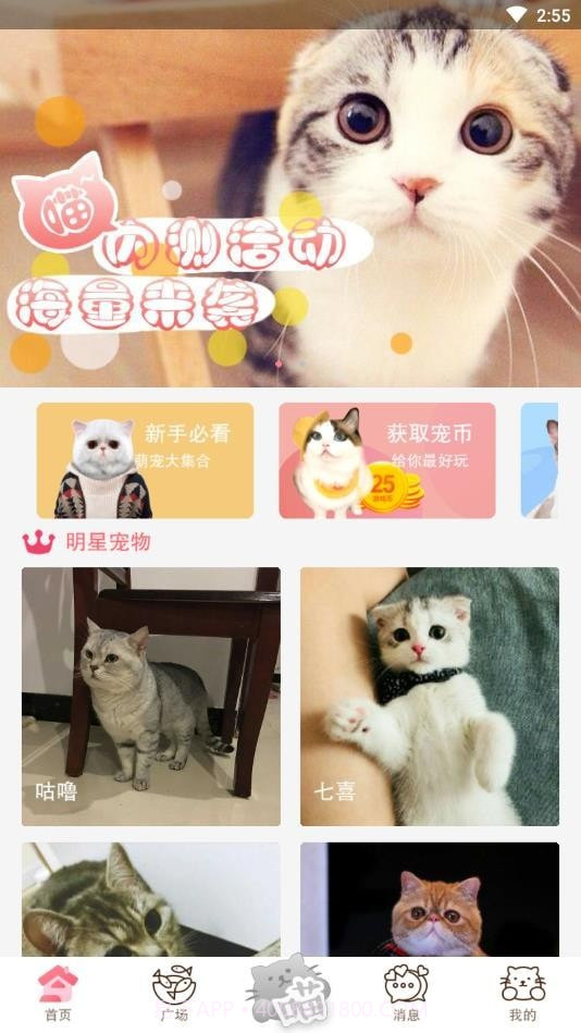 猫咪汇截图1 猫咪汇截图1