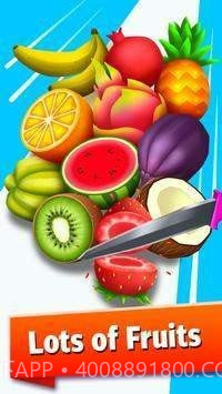 完美水果切片机截图2