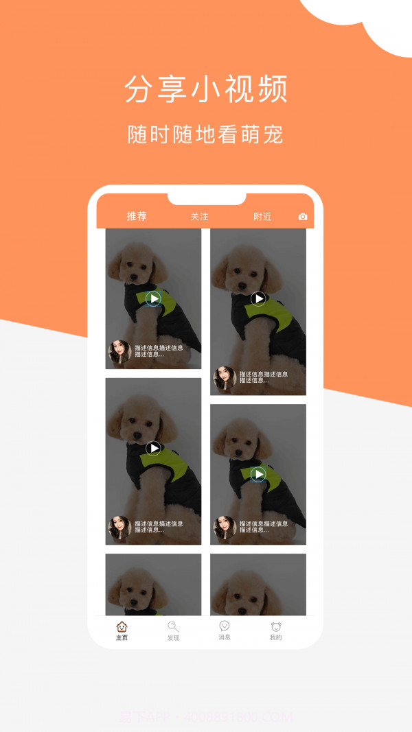 栖宠截图4 栖宠截图4