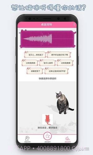激萌猫咪桌面宠物截图3 激萌猫咪桌面宠物截图3