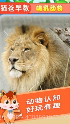 宝宝儿童动物世界截图2 宝宝儿童动物世界截图2