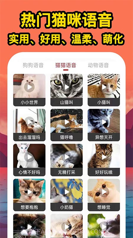 人人猫狗翻译交流器截图3