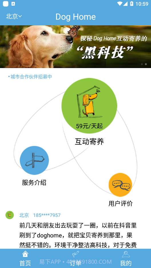 Dog Home截图4 Dog Home截图4