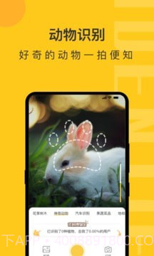 拍照识物精灵截图4 拍照识物精灵截图4