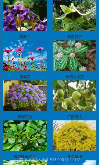 神农花草园艺截图3