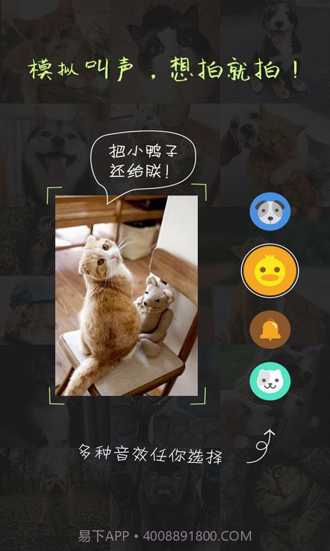 萌宠相机截图2